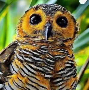 Meet your Posher, Judith